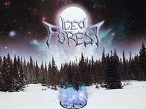 Iced Forest