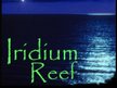 Ricky Almond "Iridium Reef" イリジウムサンゴ礁