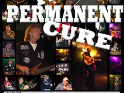 Image for The Permanent Cure