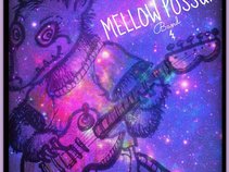 Mellow Possum Band