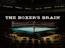 The Boxer's Brain