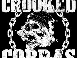 Image for Crooked Cobras