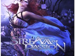 Image for Stream of Passion