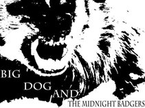 Big Dog and The Midnight Badgers
