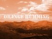Orange Humming