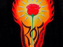 Rose On Fire