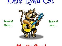 One Eyed Cat
