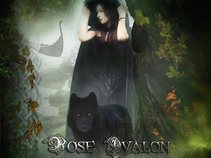 Rose Avalon