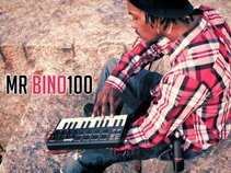 MR BiNO 100™