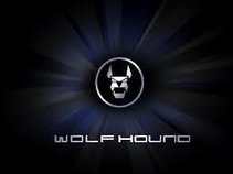 WolfHound