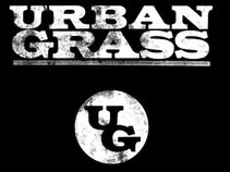 Urban Grass