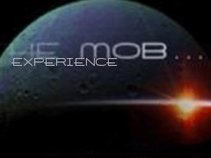 THE MOB  EXPERIENCE