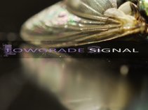 Lowgrade Signal