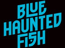 Blue Haunted Fish