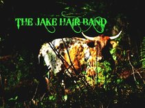 The Jake Hair Band