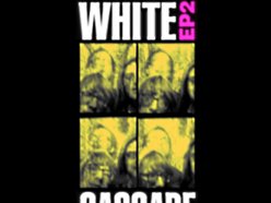 Image for The White Cascade