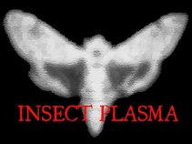 Insect Plasma