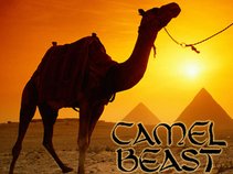 Camel Beast