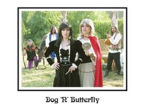 Dog n Butterfly