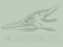 The Sad Pterodactyls