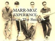 MARR-MOZ experience
