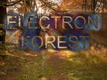 Electron Forest
