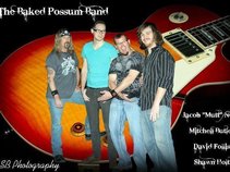 The Baked Possum Band