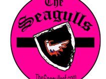 the seagulls