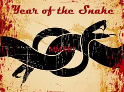 Image for Year of the Snake