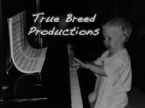 True Breed Productions