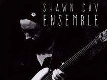 Shawn Cav Ensemble