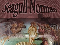 Seagull Norman