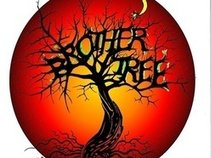The Brother Tree Band