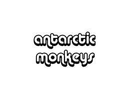 Image for The Antarctic Monkeys