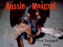 Aussie Mongrel