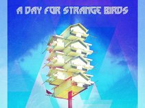 A Day For Strange Birds
