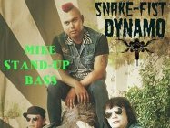 Snake - Fist Dynamo