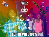 Wild Boyz Production