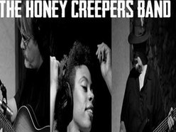 Image for The Honey Creepers Band