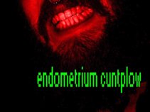 Endometrium Cuntplow