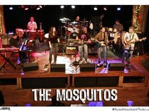 The Mosquitos