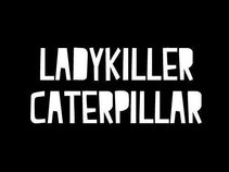 Ladykiller Caterpillar