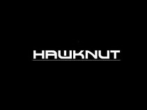 Hawknut Corperation