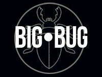 Big Bug