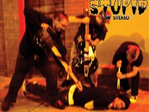 Stupid In Stereo