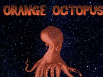 orange octopuss