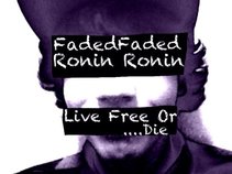 Faded Ronin
