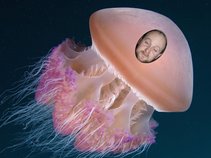 Bloody Jellyfish Attack