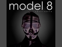 model 8