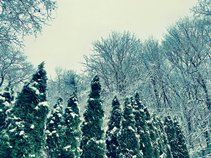 In Winter